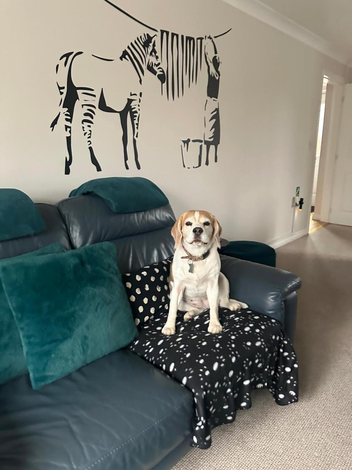 Hereford - Finch House - Modern 4 Bedroom House Located In South Hereford, Dog Friendly With Nearby Countryside, Pool Table, Sleeps Up To 10 Guests - Hosted By Rentmyhouse Buitenkant foto